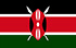 TGM Panel Käteisen ansaitseminen Keniassa