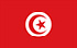 TGM Kyselyt käteisen ansaitsemiseksi Tunisiassa